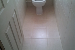 Bathroom And Cloakroom